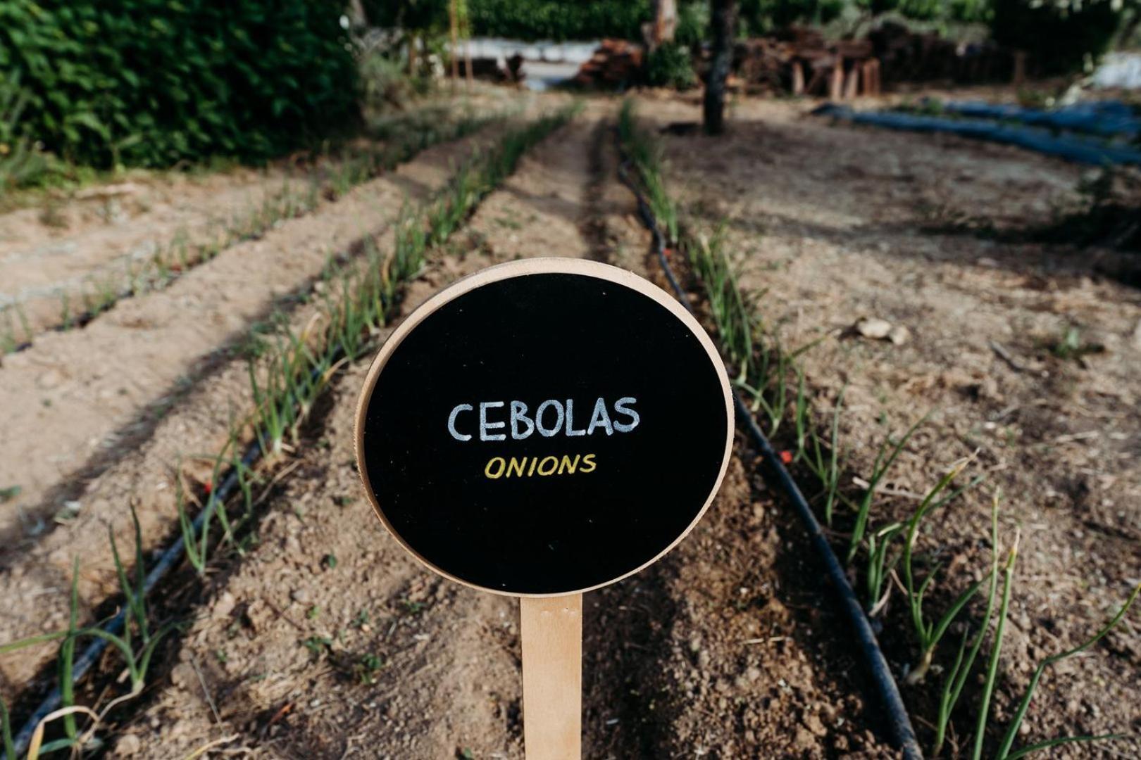 Quinta De S. Miguel Ξενοδοχείο Fundão Εξωτερικό φωτογραφία