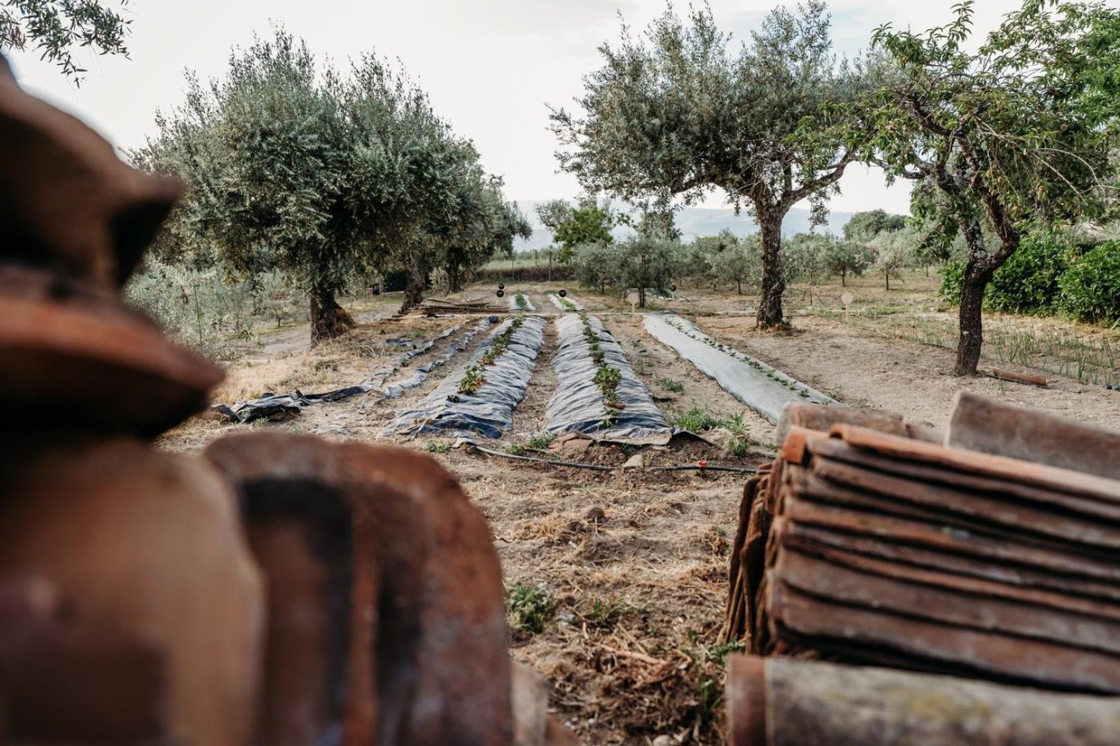 Quinta De S. Miguel Ξενοδοχείο Fundão Εξωτερικό φωτογραφία