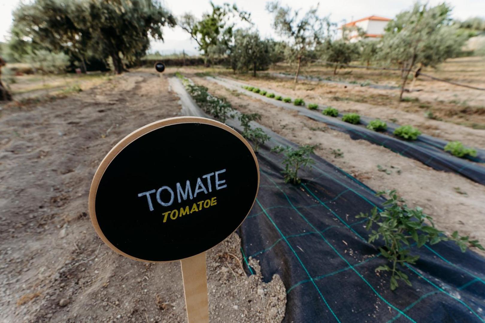 Quinta De S. Miguel Ξενοδοχείο Fundão Εξωτερικό φωτογραφία